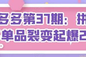拼多多第37期：拼多多单品裂变起爆2.0