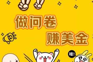 国外问卷调查小白家也可批量操作（口子查站点查渠道查）真正的长久稳定项目 日入1500+