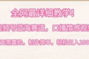全网最详细教学，视频号蓝海赛道，口播情感视频，无需露脸，制作简单，轻松实现日入1000+【揭秘】