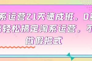 淘系运营21天速成班，0基础轻松搞定淘系运营，不做假把式