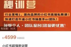 小红书超强密训营，爆文制造技巧，低预算高roi投放技巧，内容营销思维