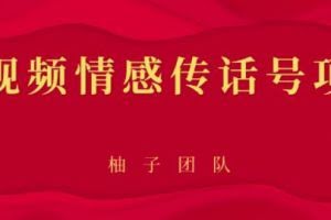 短视频情感传话号项目，细分领域的赚钱门道【视频课程】