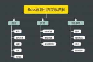 王半圈：Boss直聘引流变现详解，让网络赚钱更简单!【视频课程】