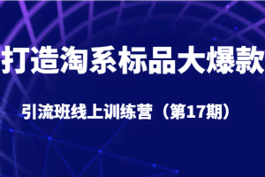 打造淘系标品大爆款引流班线上训练营（第17期）5天直播授课+1个月答疑