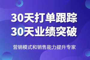 营销模式和销售能力提升专家，30天打单跟踪，30天业绩突破！