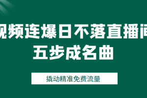 视频连爆日不落直播间五步成名曲，撬动精准免费流量（价值1980元）