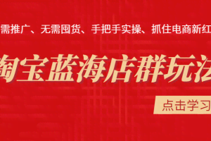 淘宝蓝海店群玩法，无需推广、无需囤货、手把手实操、抓住电商新红利（价值3998元）