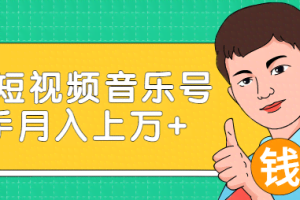 玩转短视频音乐号，成本低利润高新手月入10000+实战教程（视频教程）