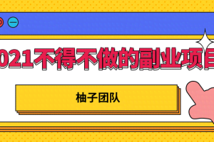 2021年不得不做的副业项目，轻松打造管道收入日赚10000+！【视频教程】