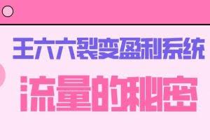 王六六裂变盈利系统课程01流量的秘密（核心诱饵+信任模型+裂变模式）