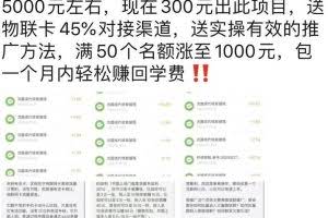 剑眉大侠实操三个月得暴利项目，每月躺赚5000元左右（价值300元）