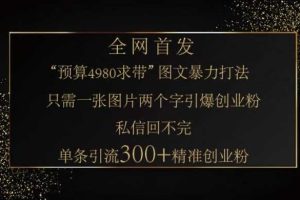 小红书神奇图片引流法，只需一张图，就能单条笔记凭借此方法，轻松引流 300 + 精准创业粉