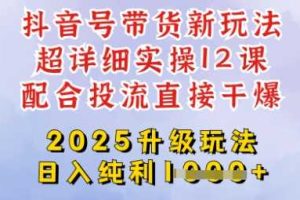 2025全新升级抖音带货玩法，一天纯利四位数，从剪辑到选品再到发布投流，超详细玩法揭秘