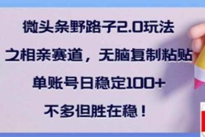 （14334期）微头条野路子2.0玩法之相亲赛道，无脑搬砖复制粘贴，单账号日稳定300+…