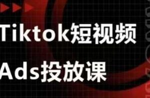 Ads视频投放课，tiktok短视频广告投放课