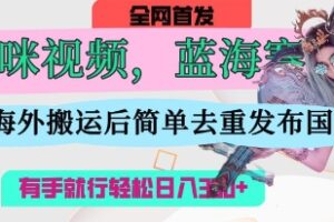 AI猫咪视频蓝海赛道，操作简单，直接海外搬运，简单去重，操作简单，有手就行日入3张