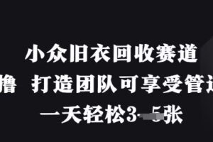 小众旧衣回收赛道，纯零撸 打造团队可享受管道收益，一天轻松3张