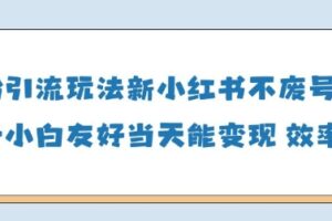 男粉引流玩法(新)，玩法友好做的好当天就能变现