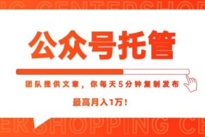 （15109期）【公众号托管 】我提供文章，你每天５分钟复制发布，最高月入1W