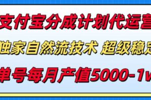 支付宝分成计划代运营，独家自然流技术，收益稳定，单号月产5000＋