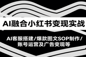 AI融合小红书变现实战课，AI客服搭建/爆款图文SOP制作/账号运营及广告变现等