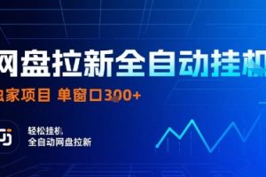 网盘拉新全自动挂G，独家项目，全自动运行完成拉新做任务，单窗口3张+【揭秘】