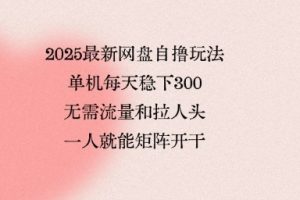 2025最新网盘自撸玩法，单机每天稳下3张，无需流量和拉人头，一个人就可轻松矩阵，全网独一份【揭秘】