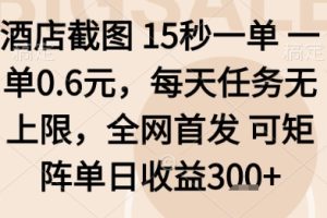 酒店截图项目，15秒一单，一单0.6米，每天任务无上限，全网首发可矩阵单日收益3张+【揭秘】