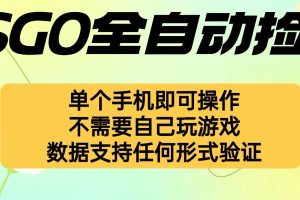 （16207期）自动挂机捡漏，不用自己挂机不用玩游戏，一个手机即可操作。新手小白轻…