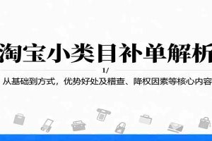 淘宝小类目补单解析：从基础到方式，优势好处及稽查、降权因素等核心内容