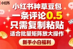 小红书种草豆包，一条评论0.5，只需复制粘贴，适合批量矩阵放大操作，新手小白福利