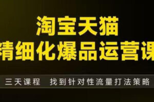 淘宝天猫精细化爆品运营（9月12-14杭州线下课），全方位拆解爆品打造逻辑【音频+字幕+文档】