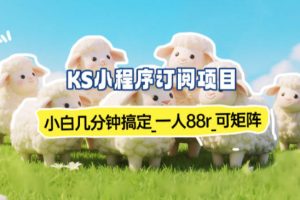 小程序订阅项目_小白几分钟搞定，一人88米，可矩阵（已测到账）