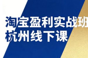 淘宝盈利实战班杭州线下课12月26-28日（音频+字幕），帮你掌握SOP流程+12门核心技术