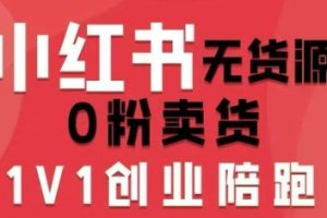 小红书无货源0粉电商课，开店准备、选品策略、笔记撰写、视频剪辑、数据分析、账号打造、资料文档（更新26年3月）