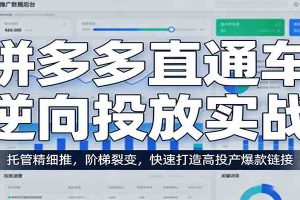 拼多多直通车逆向投放实战：托管精细推，阶梯裂变，快速打造高投产爆款链接