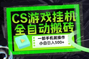 (17876期)CSGO游戏挂机捡漏搬砖,超稳定的项目,带领1000+小白实现日入500+,数据可视频验证