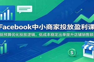 Facebook中小商家投放盈利课：低预算优化投放逻辑，低成本稳定出单提升店铺销售额