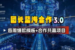 团长蓝海合作3.0，每周爆款模板+合作共赢项目