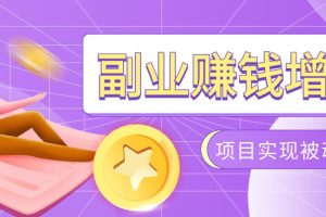 985十年互联网老兵亲测：2026年多个真实落地副业项目，手把手带你搭建被动收入管道（淘宝无人直播、TK拉新、代运营、CSGO……）【揭秘】