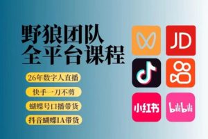 野狼团队2026新版全平台短视频带货教学，打开流量突破口，开始Ai带货（更新0724）