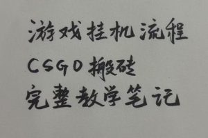 游戏挂G全流程笔记分享，CSGO游戏搬砖，小白看了当天学会见收益【揭秘】