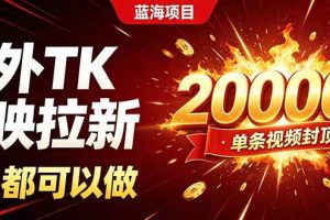 （19994期）海外TK拉新新玩法，剪映就能做，不用经验不用粉丝，单条视频收益上限20000+