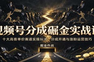 视频号分成掘金实战课：十大高客单价赛道实操玩法，分成开通与涨粉运营技巧