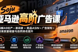 （20831期）Soju亚马逊高阶广告课：拆解A9坑产+准词表+竞品ASIN+广告架构+精准放量缩量与自然排名提升
